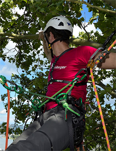 Tree Climbing and Rope Access ATX 512 676 7860